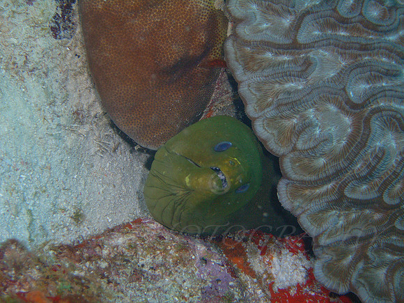 aruba_janesea_barcadera-6