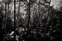 20100707-IMG_0923-Edit