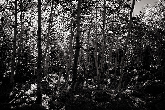 20100707-IMG_0923-Edit