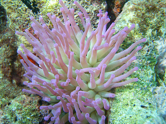 IMAG0061
