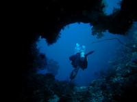 GreatWhiteWall2-Taveuni-1