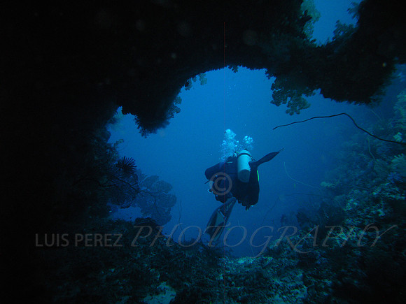 GreatWhiteWall2-Taveuni-1