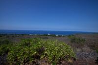 Hawaii-1245