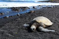 Hawaii-1273