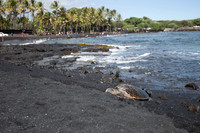 Hawaii-1277