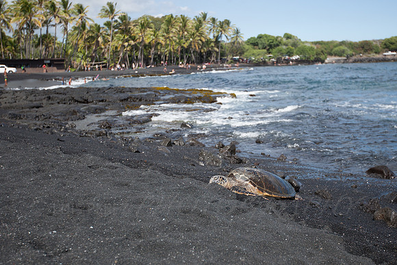 Hawaii-1277