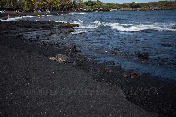 Hawaii-1290