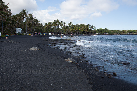 Hawaii-1294