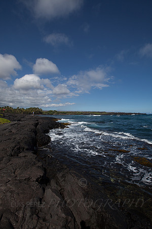 Hawaii-1302