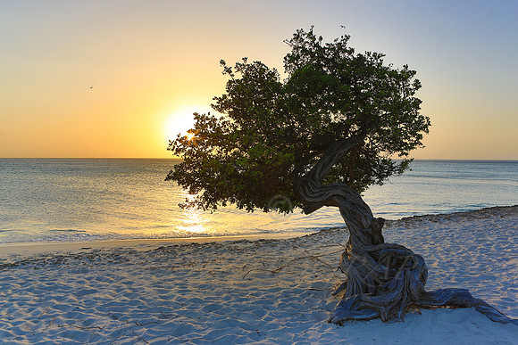 aruba_beach_sunset-43