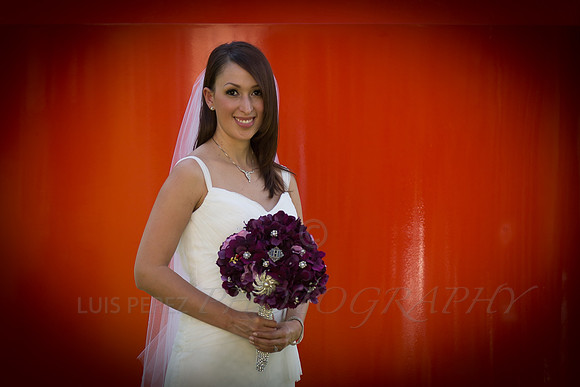 Ashley_bridal-32