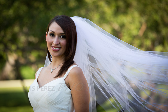 Ashley_bridal-51