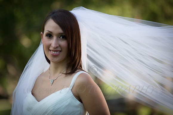 Ashley_bridal-56