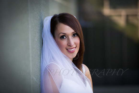 Ashley_bridal-69