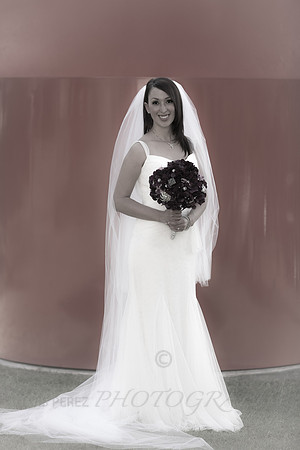 Ashley_bridal-46