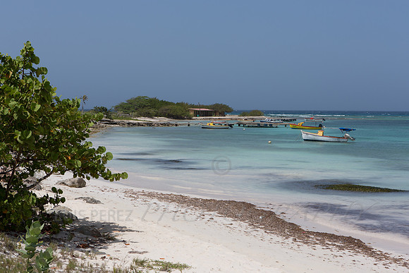 aruba_friday-2