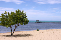 20090722-IMG_8995