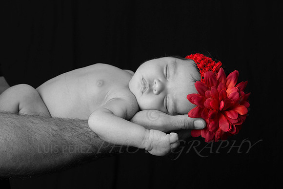 arabella-192-Edit