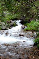 20100707-IMG_0839