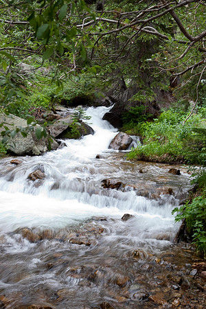 20100707-IMG_0839