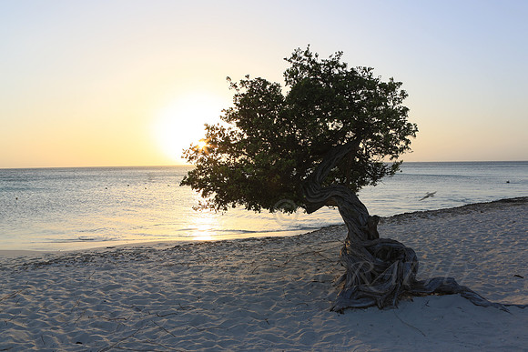 aruba_beach_sunset-35