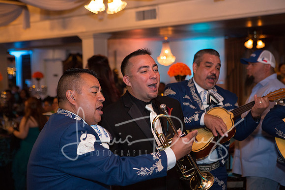 Trevino Wedding_L-247