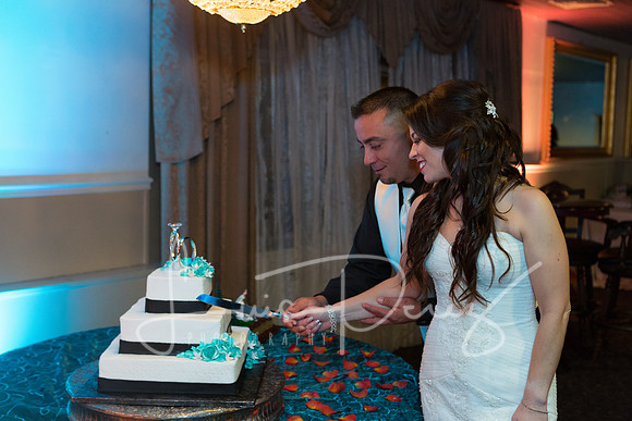 Trevino Wedding_L-313