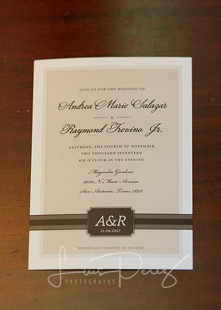 Trevino Wedding_L -650