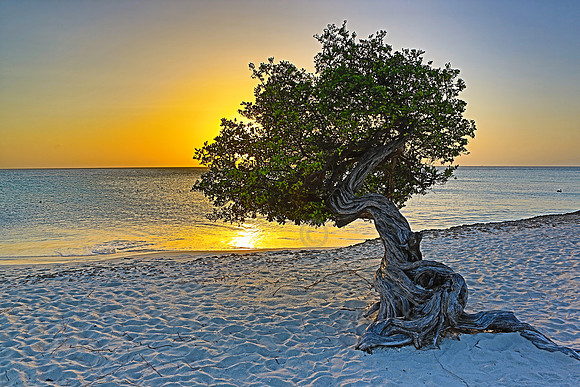 aruba_beach_sunset-47