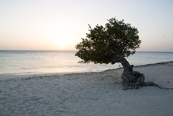 aruba_beach_sunset-61