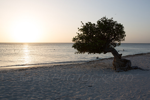 aruba_beach_sunset-30