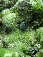 20090719-IMAG0022
