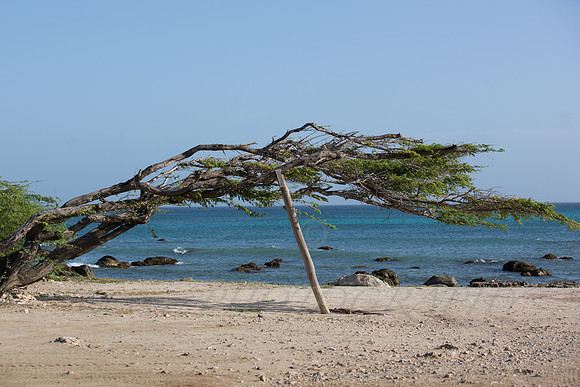 aruba_beach_sunset-1