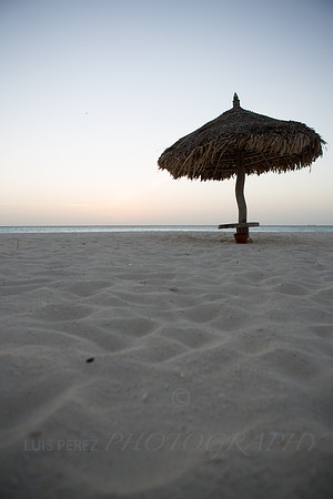 aruba_tuesday-258