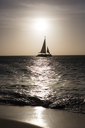 aruba_weds-85