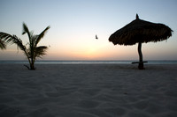 aruba_tuesday-246
