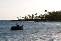 aruba_tuesday-166