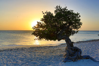 aruba_beach_sunset-43