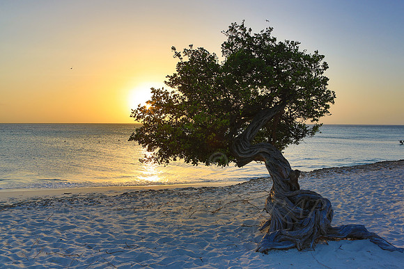 aruba_beach_sunset-43