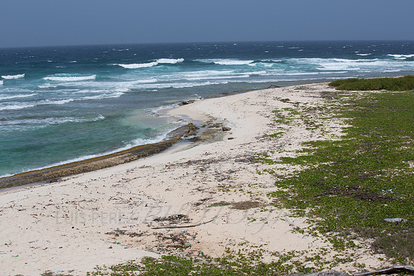 aruba_friday-231