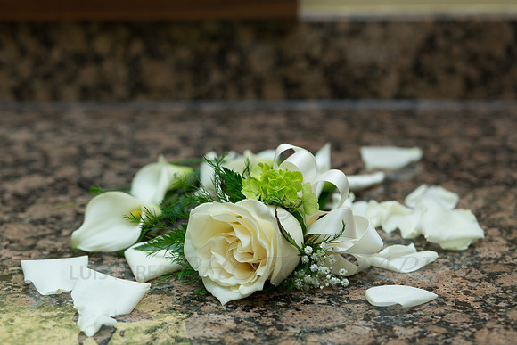 rick_victoriawedding2012-36