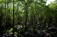 20100707-IMG_0923