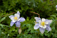 20100707-IMG_0829