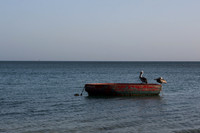 aruba_tuesday-149