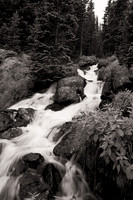 20100706-IMG_0766-Edit