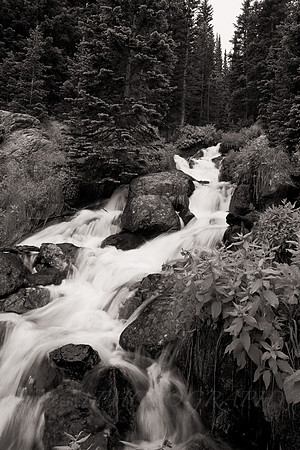 20100706-IMG_0766-Edit