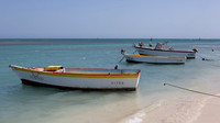 aruba_tuesday-7
