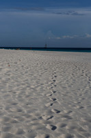 aruba_luis-7