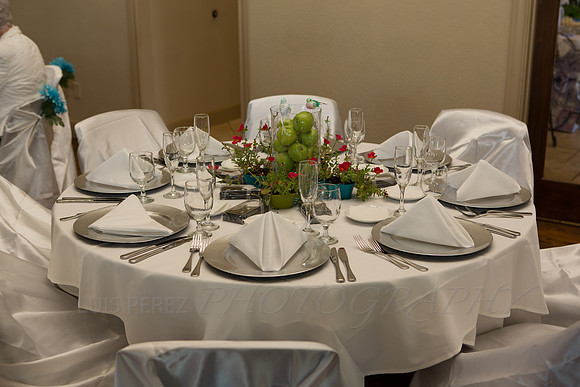 rick_victoriawedding2012-218